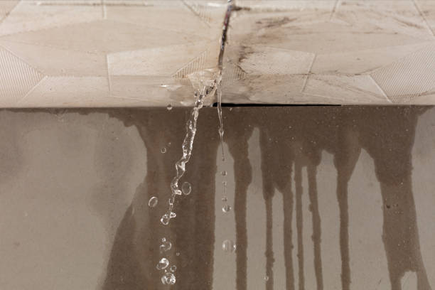 Professional Structural Drying technician working in Levant, ME